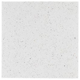 Terrazo 20x20 Cement Encaustic Tile, White Chip